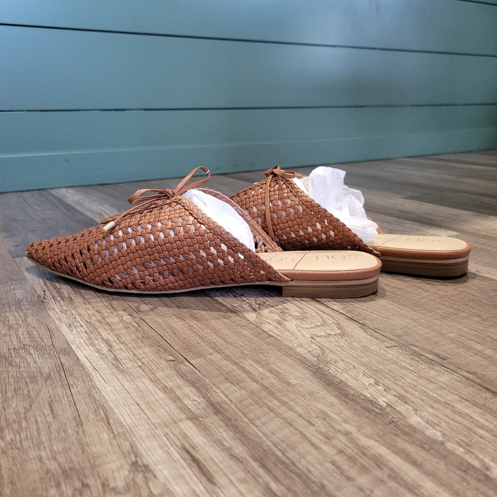 Woven Pointed-Toe Slide Mules in Brown